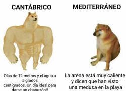 Enlace a ¿Tú qué mar prefieres?