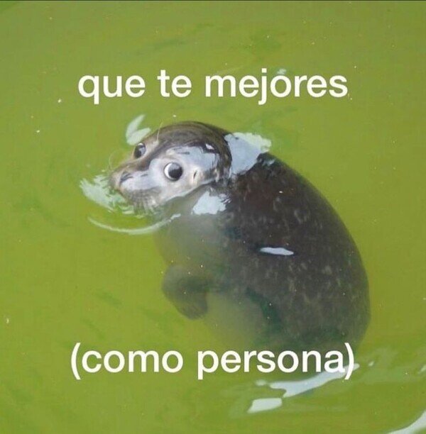 Meme_otros - Deseo que te mejores