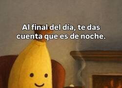 Enlace a Lo que aprendes al cabo del día