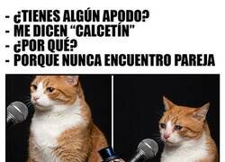 Enlace a Soy el Calcetín