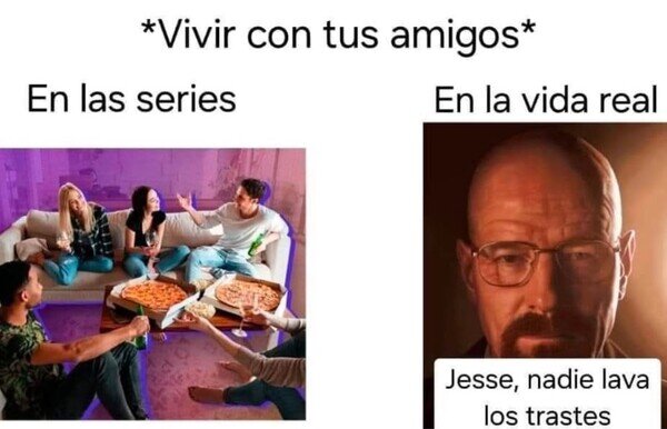 Meme_otros - La verdad sobre vivir con amigos
