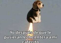 Enlace a Yo esas cosas las noto