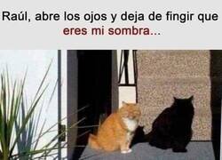 Enlace a Basta ya de fingir
