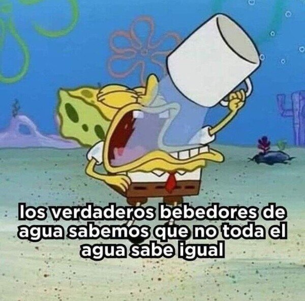 Meme_otros - Eso es así