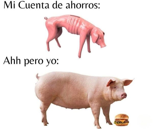 Meme_otros - Qué vida más cerda