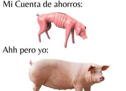 Enlace a Qué vida más cerda