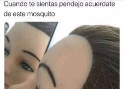 Enlace a Mosquito tonto