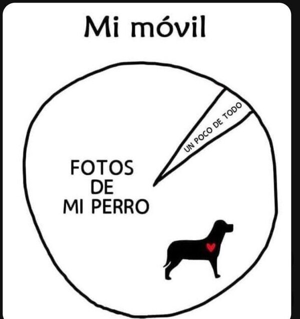 Meme_otros - Mi perro me está dejando sin almacenamiento