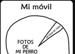 Enlace a Mi perro me está dejando sin almacenamiento