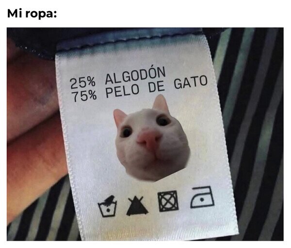 Otros - Tu ropa cuando tienes gato