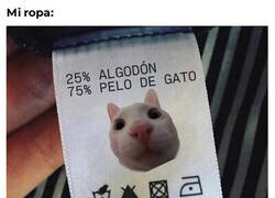 Enlace a Tu ropa cuando tienes gato