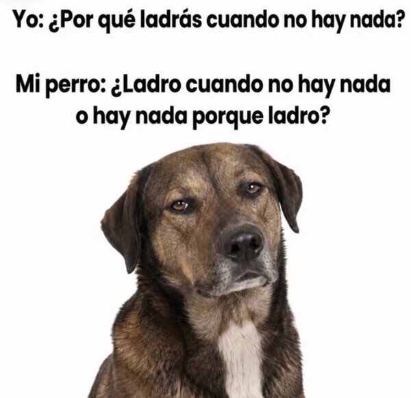Otros - El perro se puso filosófico