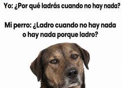 Enlace a El perro se puso filosófico