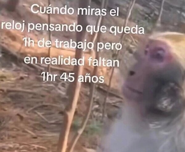 Otros - ¿Cuánto quedará?