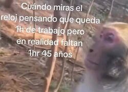 Enlace a ¿Cuánto quedará?