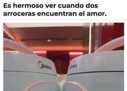 Enlace a Mira como se meten lengua