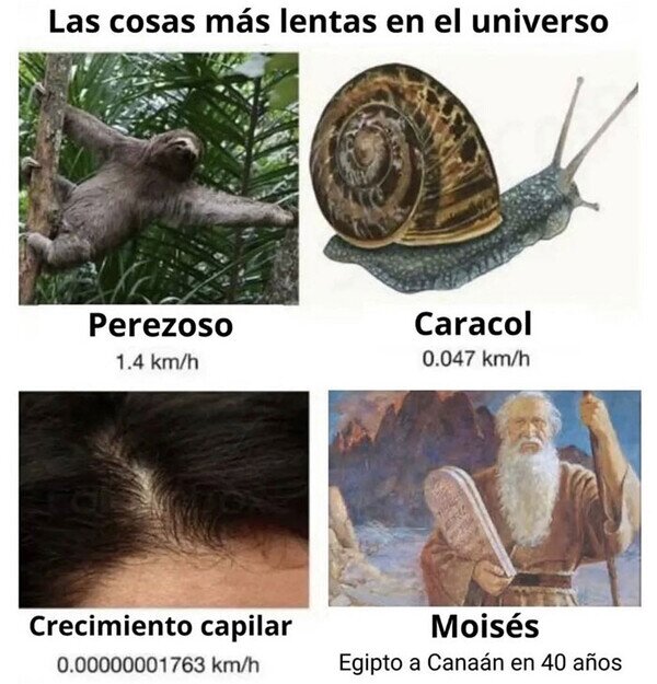 Meme_otros - Las cosas más lentas del universo