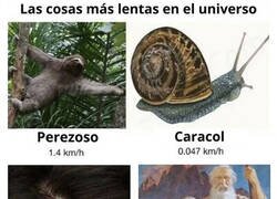 Enlace a Las cosas más lentas del universo