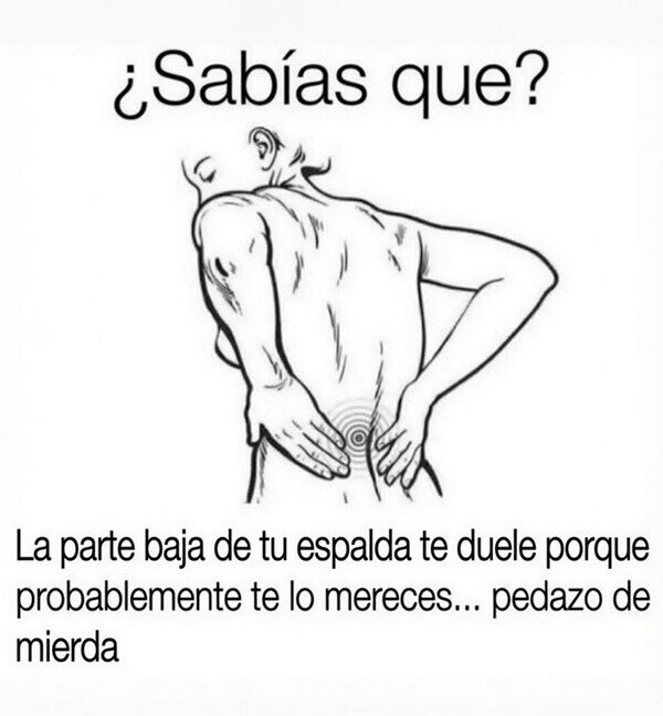 Meme_otros - ¿Por qué me duele la espalda?