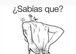 Enlace a ¿Por qué me duele la espalda?