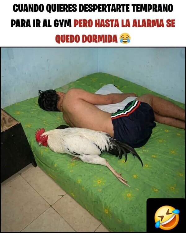 Meme_otros - Me falló la alarma