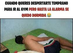 Enlace a Me falló la alarma