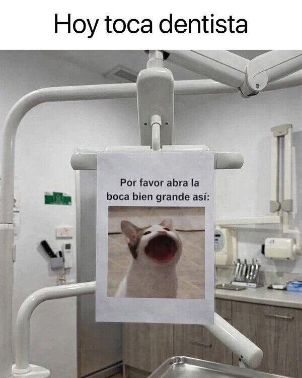 Meme_otros - Si me lo pide así...