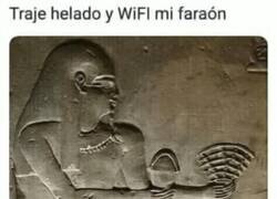 Enlace a Cubriendo las necesidades del faraón