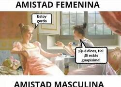Enlace a Las amistades son diferentes