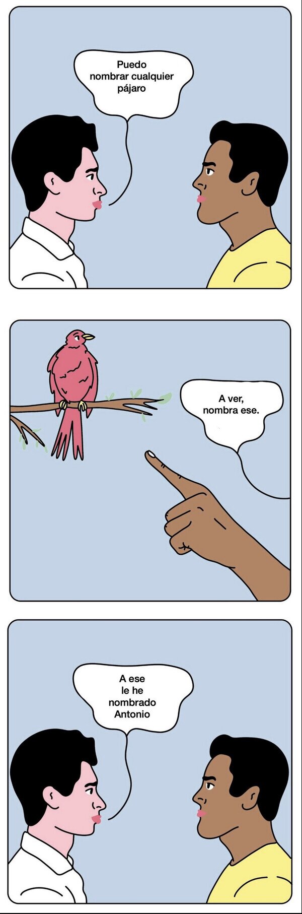 Otros - Puedo nombrar cualquier pájaro