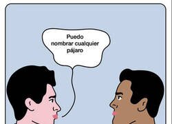 Enlace a Puedo nombrar cualquier pájaro
