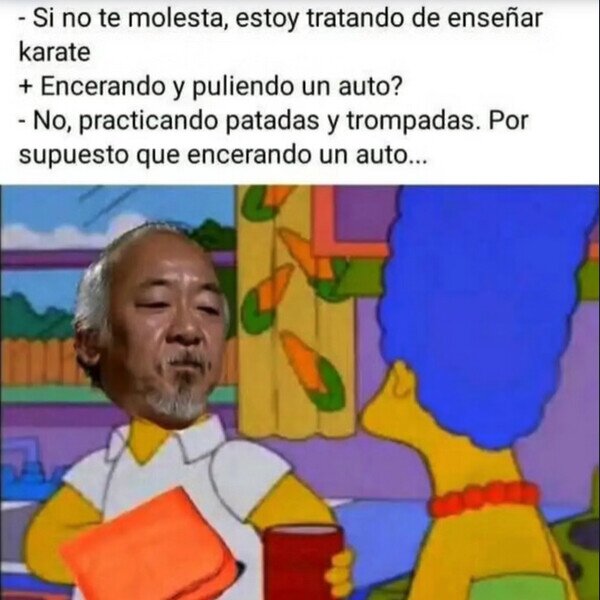 Meme_otros - Nunca entendí los métodos del señor Miyagi