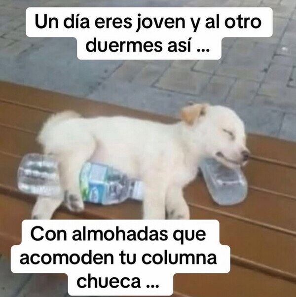 Meme_otros - No parece lo más cómodo