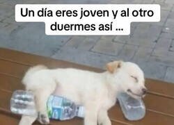 Enlace a No parece lo más cómodo