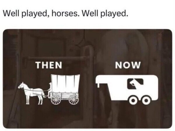 Meme_otros - Las condiciones de los caballos han mejorado