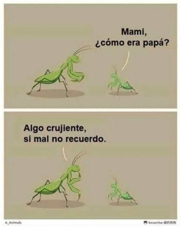 Meme_otros - Recuerdos de papá