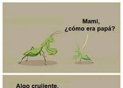 Enlace a Recuerdos de papá