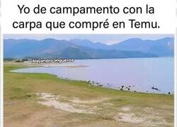 Enlace a Qué gran compra