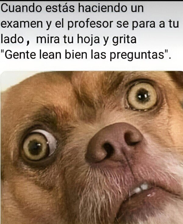 Otros - Soy el ejemplo de lo que está mal