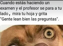 Enlace a Soy el ejemplo de lo que está mal