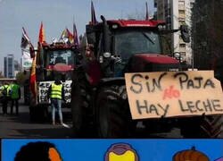 Enlace a Visto en una manifestación de ganaderos