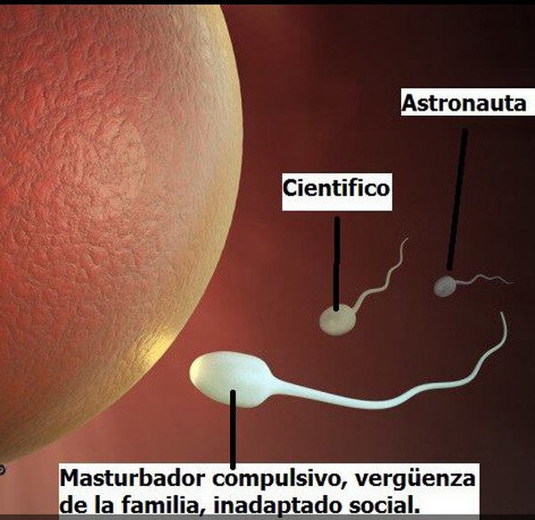 Meme_otros - No siempre gana el mejor
