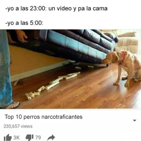 Meme_otros - Necesitaba ver ese último vídeo