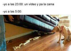Enlace a Necesitaba ver ese último vídeo