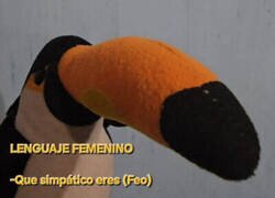 Enlace a Lo que quieren decir realmente