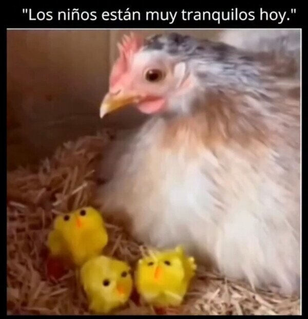 Meme_otros - Niños tranquilos