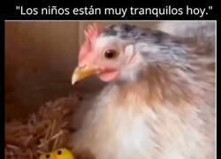 Enlace a Niños tranquilos