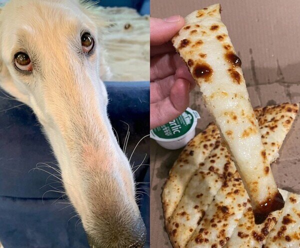 Meme_otros - Todo me recuerda al Firulais