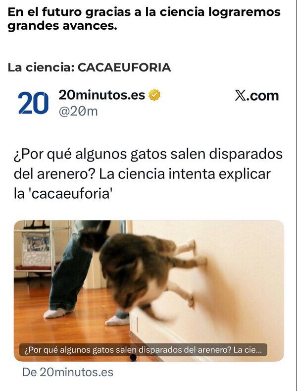 Otros - La ciencia ha descubierto la 'cacaeuforia'