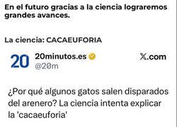 Enlace a La ciencia ha descubierto la 'cacaeuforia'